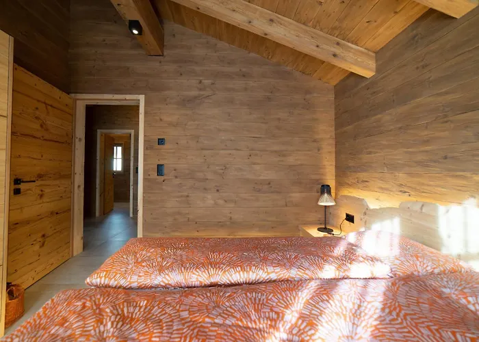 Holiday home Chaeserrugg *